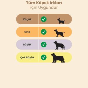 Ürün Görseli 2 Ürün Görseli 2