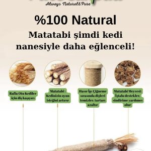 Ürün Görseli 2 Ürün Görseli 2