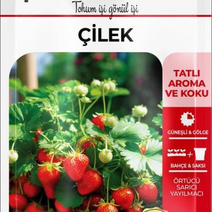 Ürün Görseli 2