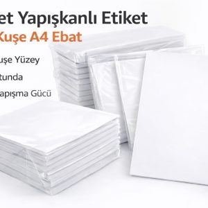 Ana Görsel
