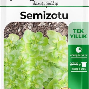 Ürün Görseli 2