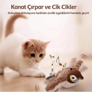 Ürün Görseli 2