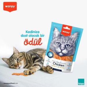 Ürün Görseli 2 Ürün Görseli 2