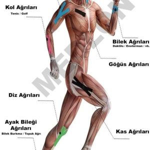 Ürün Görseli 2 Ürün Görseli 2