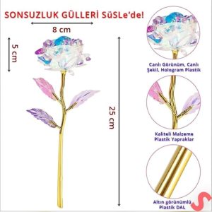 Ürün Görseli 2