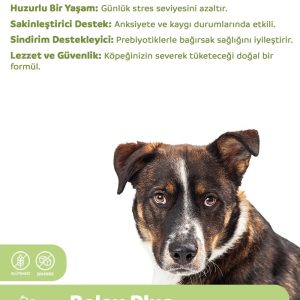 Ürün Görseli 2 Ürün Görseli 2