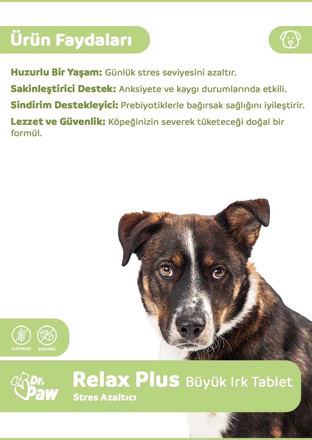 Ürün Görseli 2