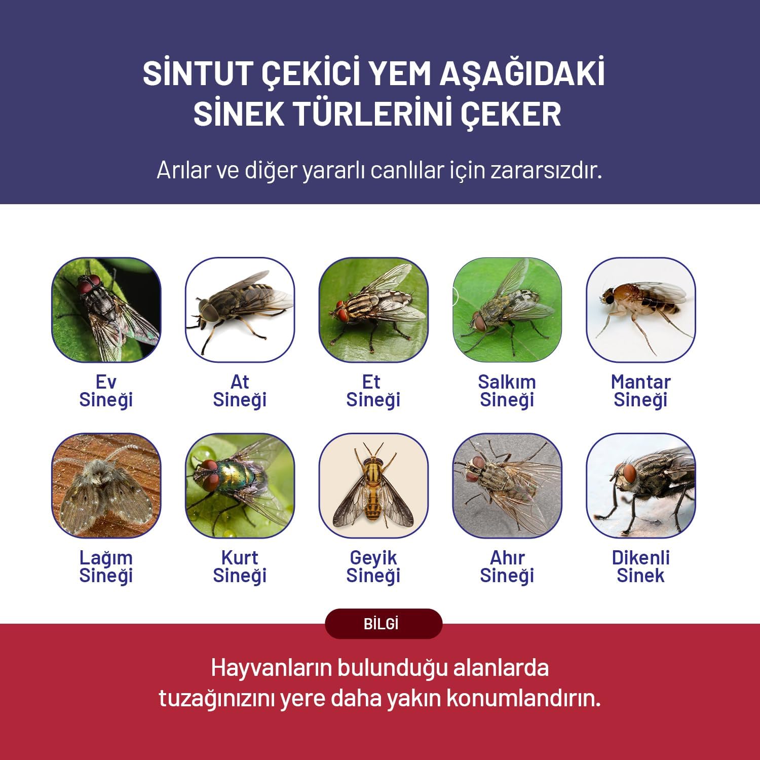 Ürün Görseli 5