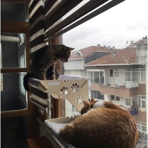 Ürün Görseli 2