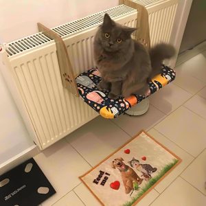 Ürün Görseli 2 Ürün Görseli 2