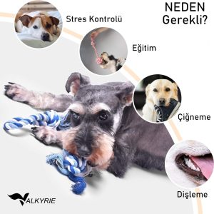 Ürün Görseli 2