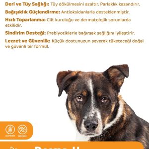 Ürün Görseli 2