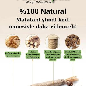 Ürün Görseli 2 Ürün Görseli 2