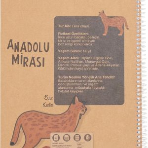 Ürün Görseli 2