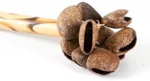 Ürün Görseli 2 Ürün Görseli 2
