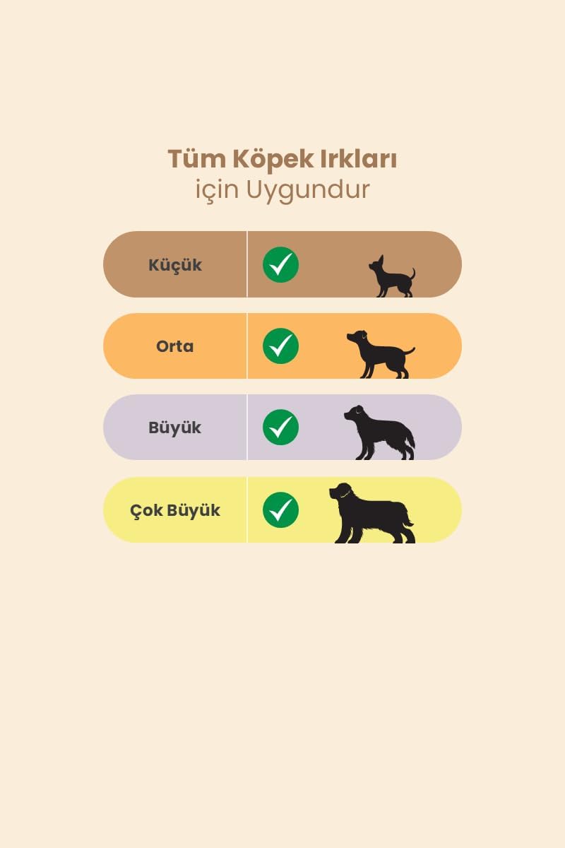 Ürün Görseli 2