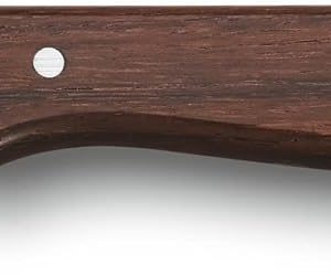 Ana Görsel