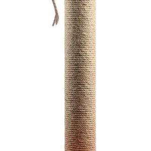 Ana Görsel