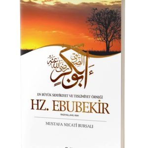 Ana Görsel