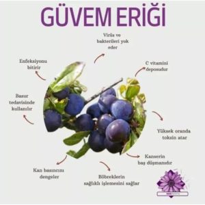 Ürün Görseli 2
