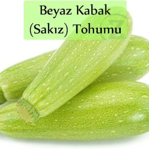 Ürün Görseli 2 Ürün Görseli 2