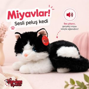Ürün Görseli 2