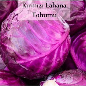 Ürün Görseli 2 Ürün Görseli 2