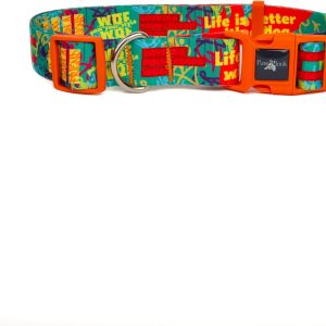 Ana Görsel
