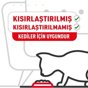 Ürün Görseli 2 Ürün Görseli 2