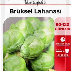 Ürün Görseli 2 Ürün Görseli 2