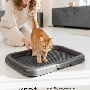 Ana Görsel