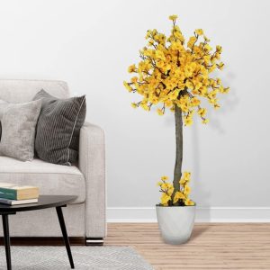 Ana Görsel