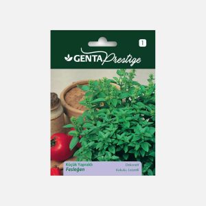 Ana Görsel