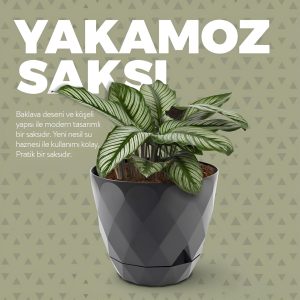 Ürün Görseli 2 Ürün Görseli 2