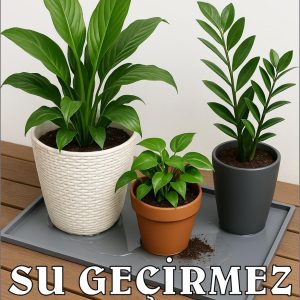 Ürün Görseli 2 Ürün Görseli 2