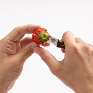 Ürün Görseli 2 Ürün Görseli 2