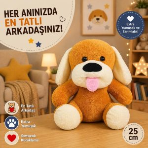 Ürün Görseli 2