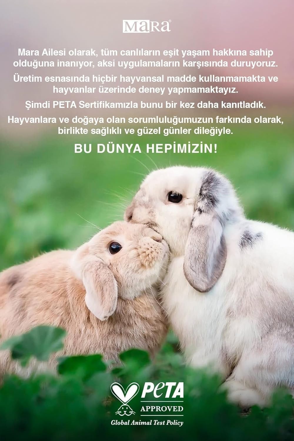 Ürün Görseli 2