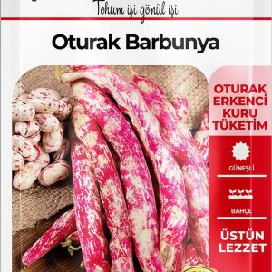 Ürün Görseli 2 Ürün Görseli 2