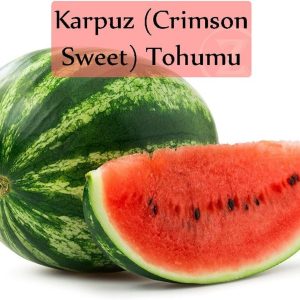 Ürün Görseli 2 Ürün Görseli 2