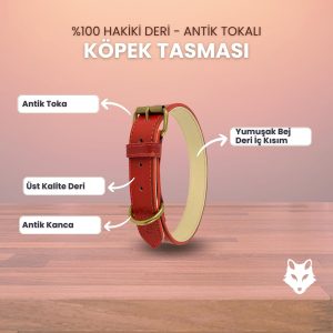 Ürün Görseli 2 Ürün Görseli 2