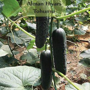 Ürün Görseli 2