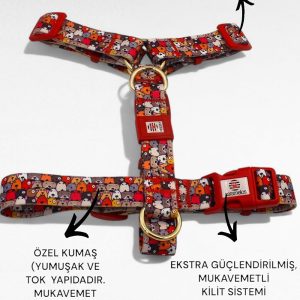 Ürün Görseli 2 Ürün Görseli 2