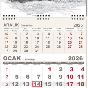 Ürün Görseli 2