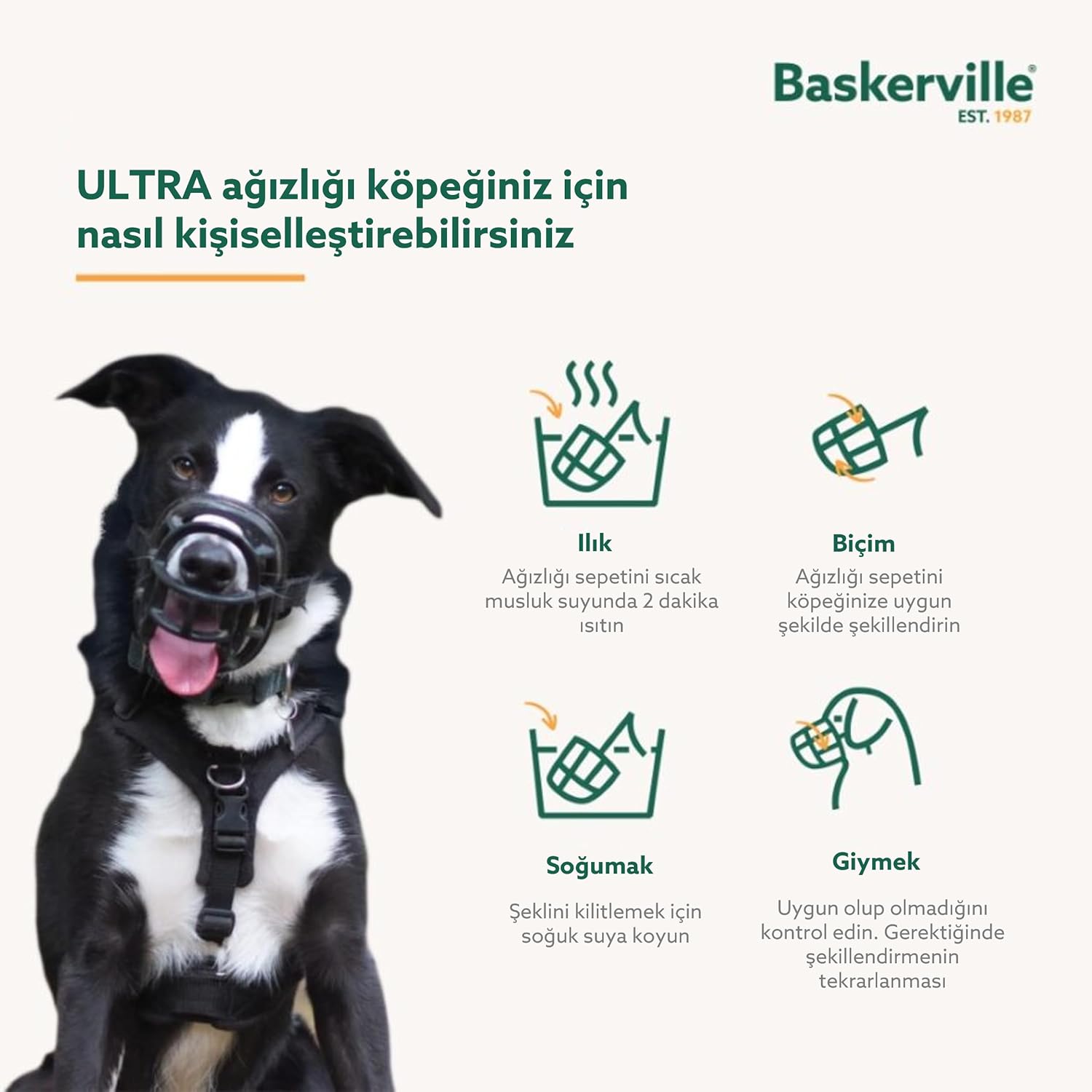 Ürün Görseli 5