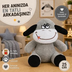 Ürün Görseli 2