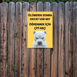 Ürün Görseli 2 Ürün Görseli 2