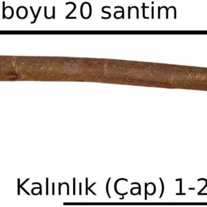 Ürün Görseli 2 Ürün Görseli 2