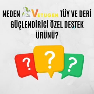 Ürün Görseli 2