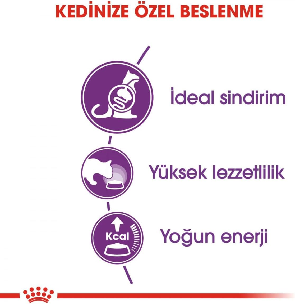 Ürün Görseli 4